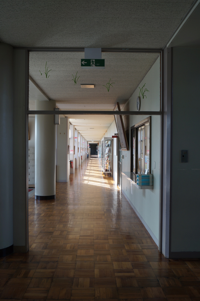 TenriNishizono_dendiyade03