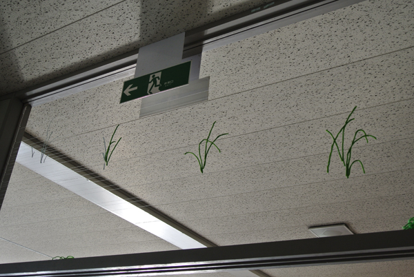 tenrichu_dendiyade_making12