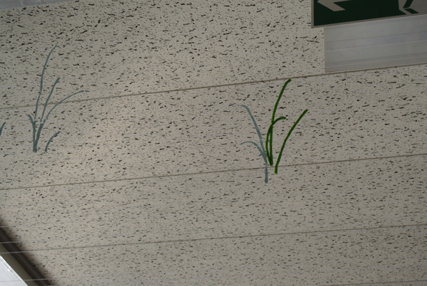 tenrichu_dendiyade_making13